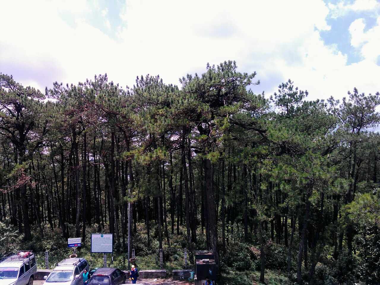 Guwahati to Shillong by Road: Routes, Stops & What to Expect