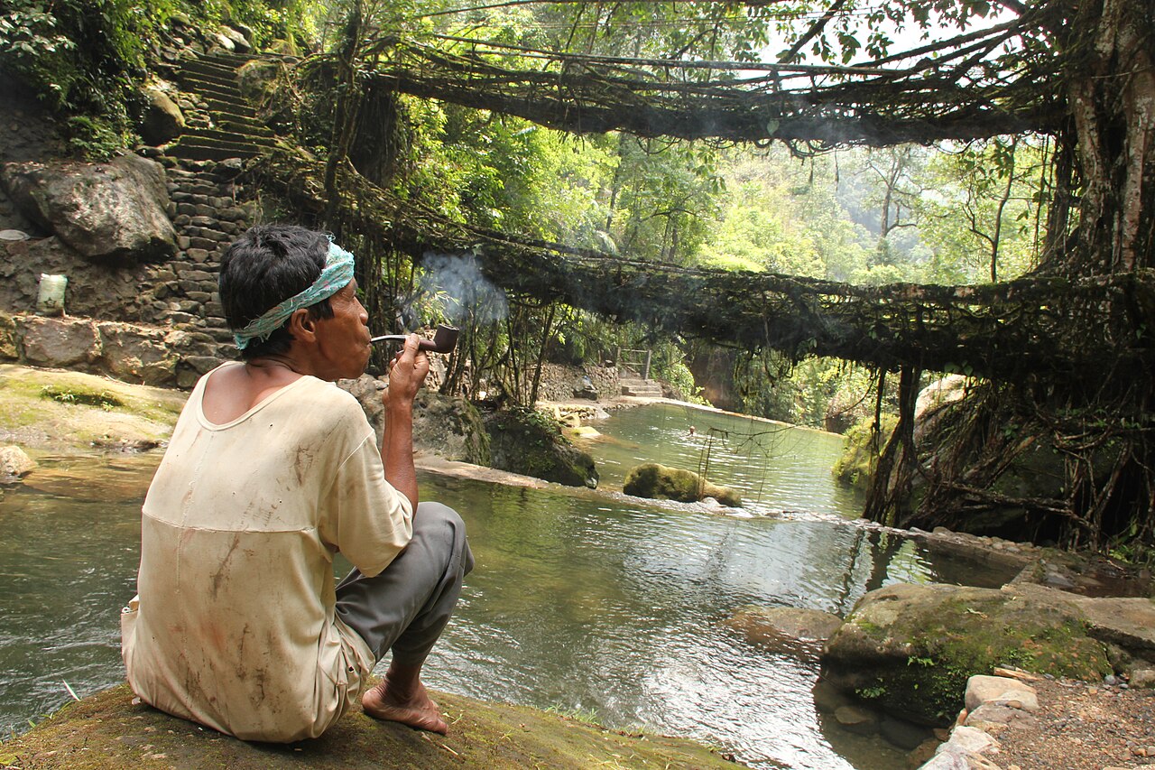 Living root bridge Meghalaya