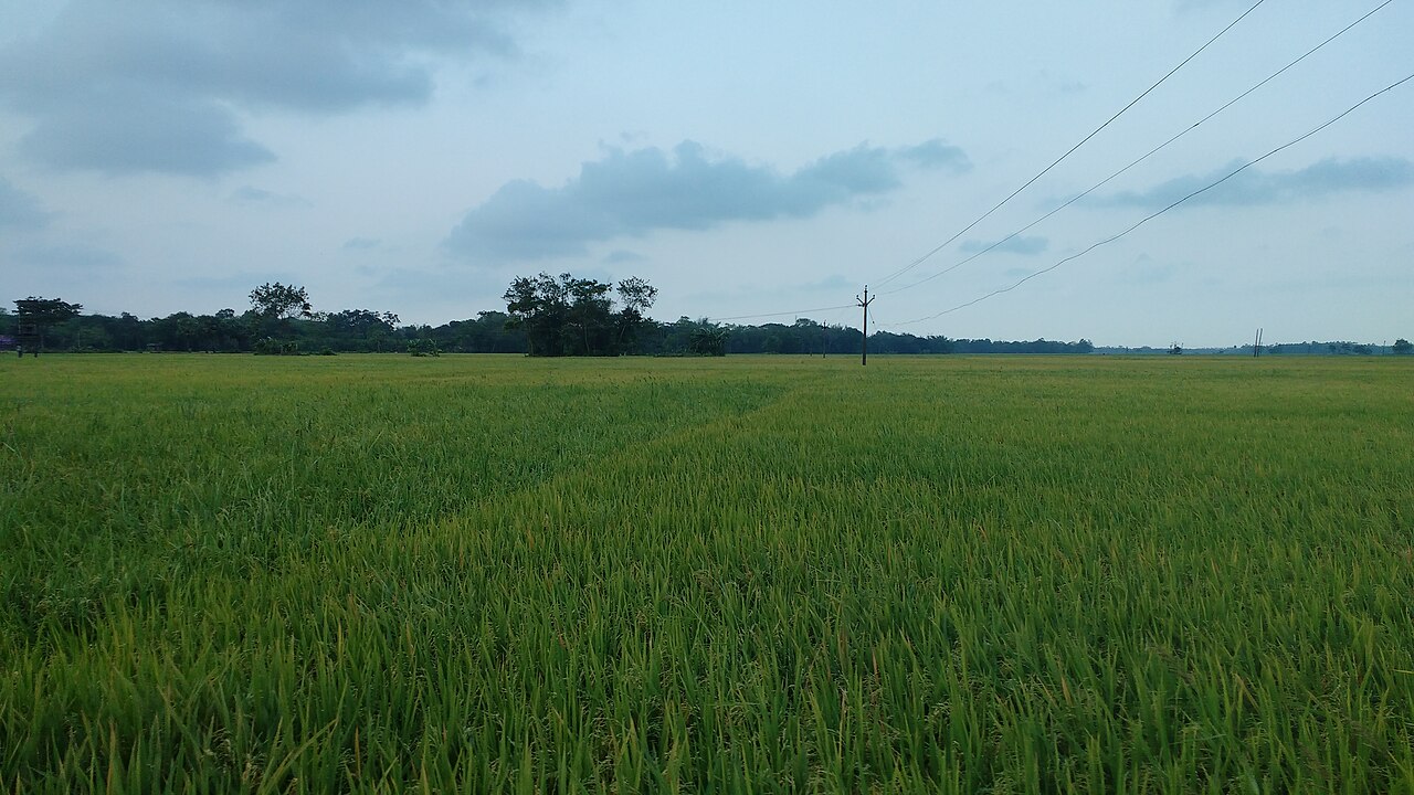 Meghalaya connectivity