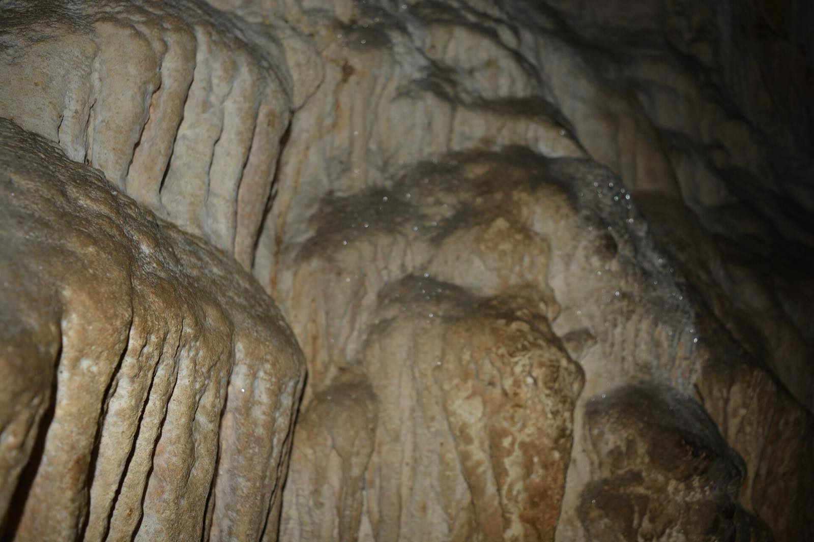 Limestone caves, Baratang