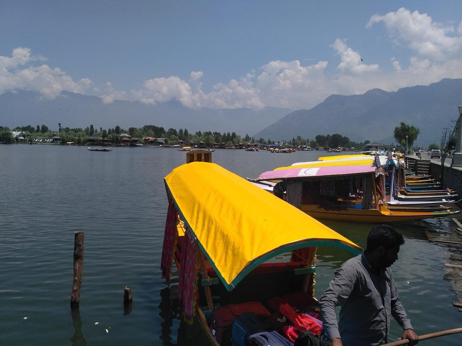 Boulevard Road, Dal Lake