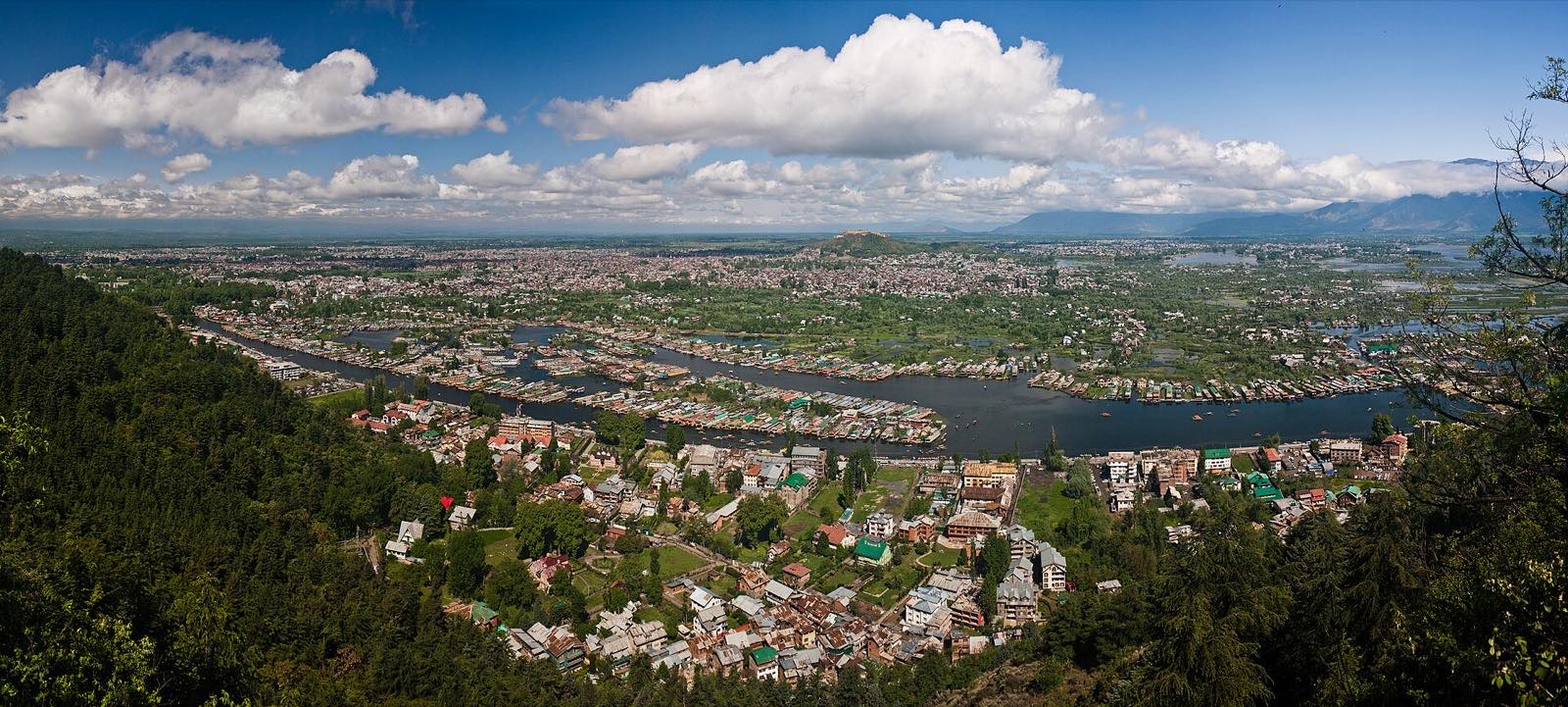 Dal Lake & Srinagar from above
