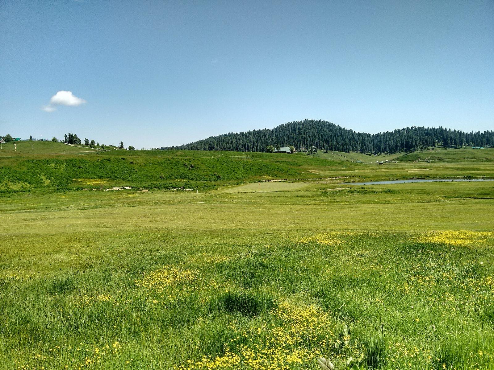 Gulmarg Golf Course
