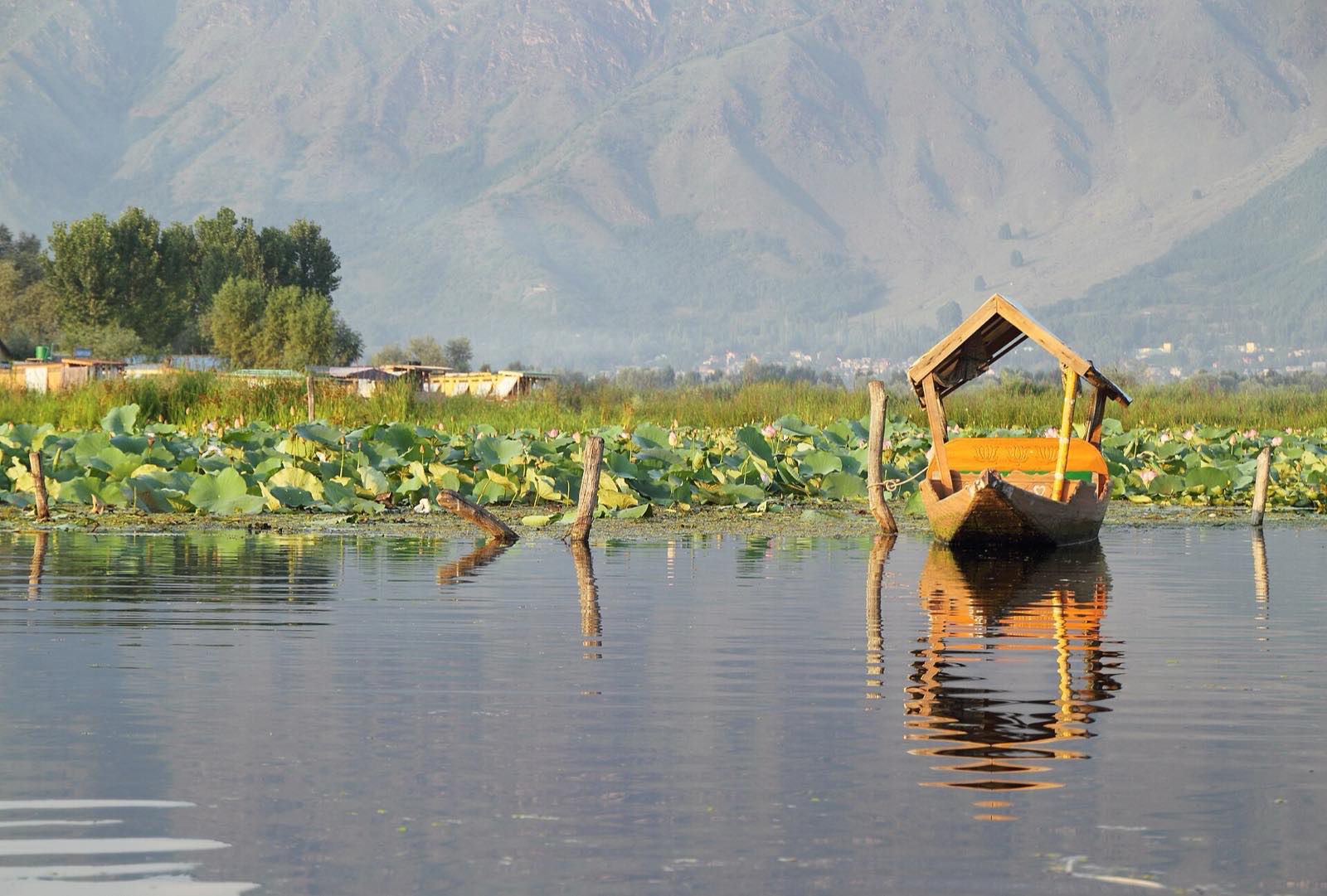 Shikara ride on Dal Lake, Srinagar